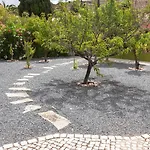 Casa Dos Pelargonios *